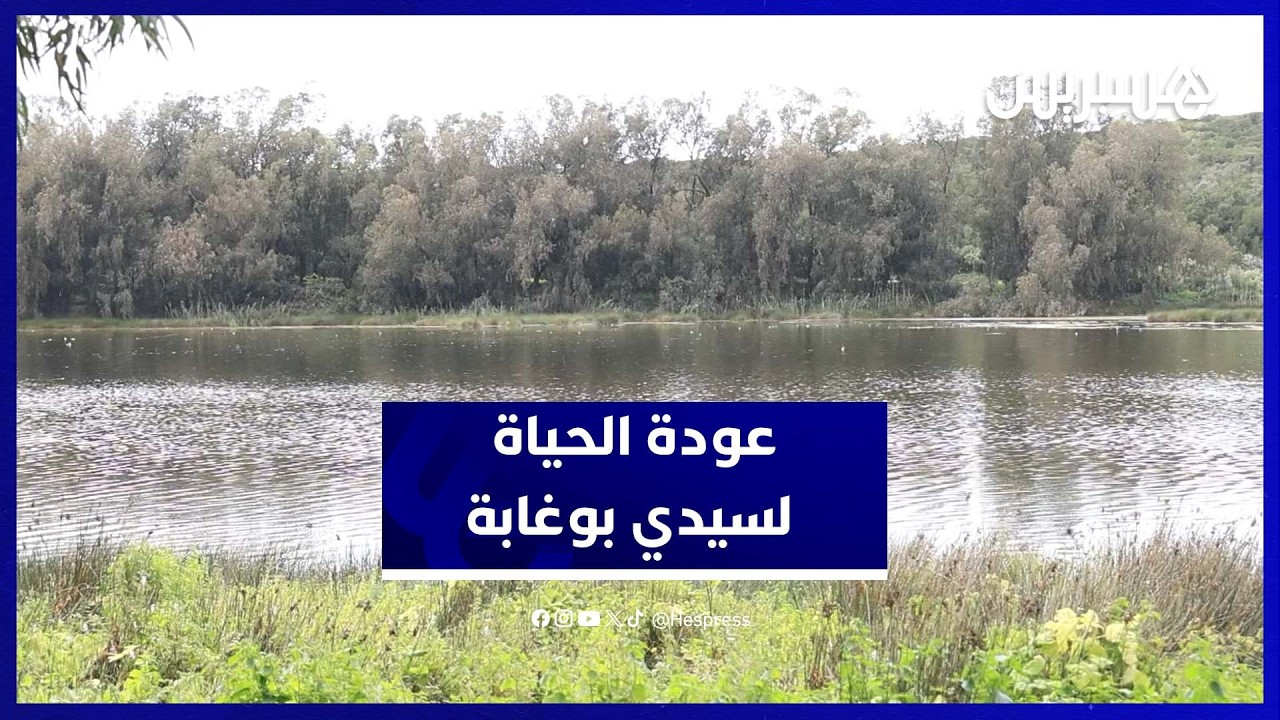 انتعاش بيئي في محمية سيدي بوغابة بعد الأمطار thumbnail