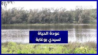 انتعاش بيئي في محمية سيدي بوغابة بعد الأمطار thumbnail