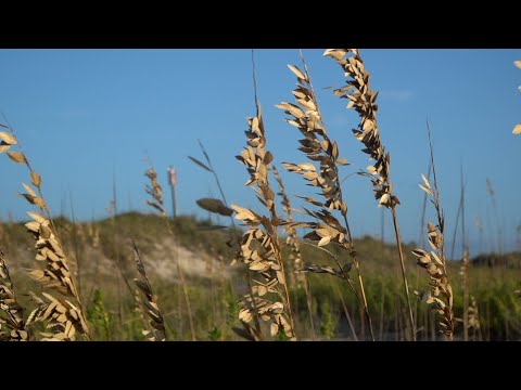 OBX Beach Report - 9/22/25 - Outer Banks This Week