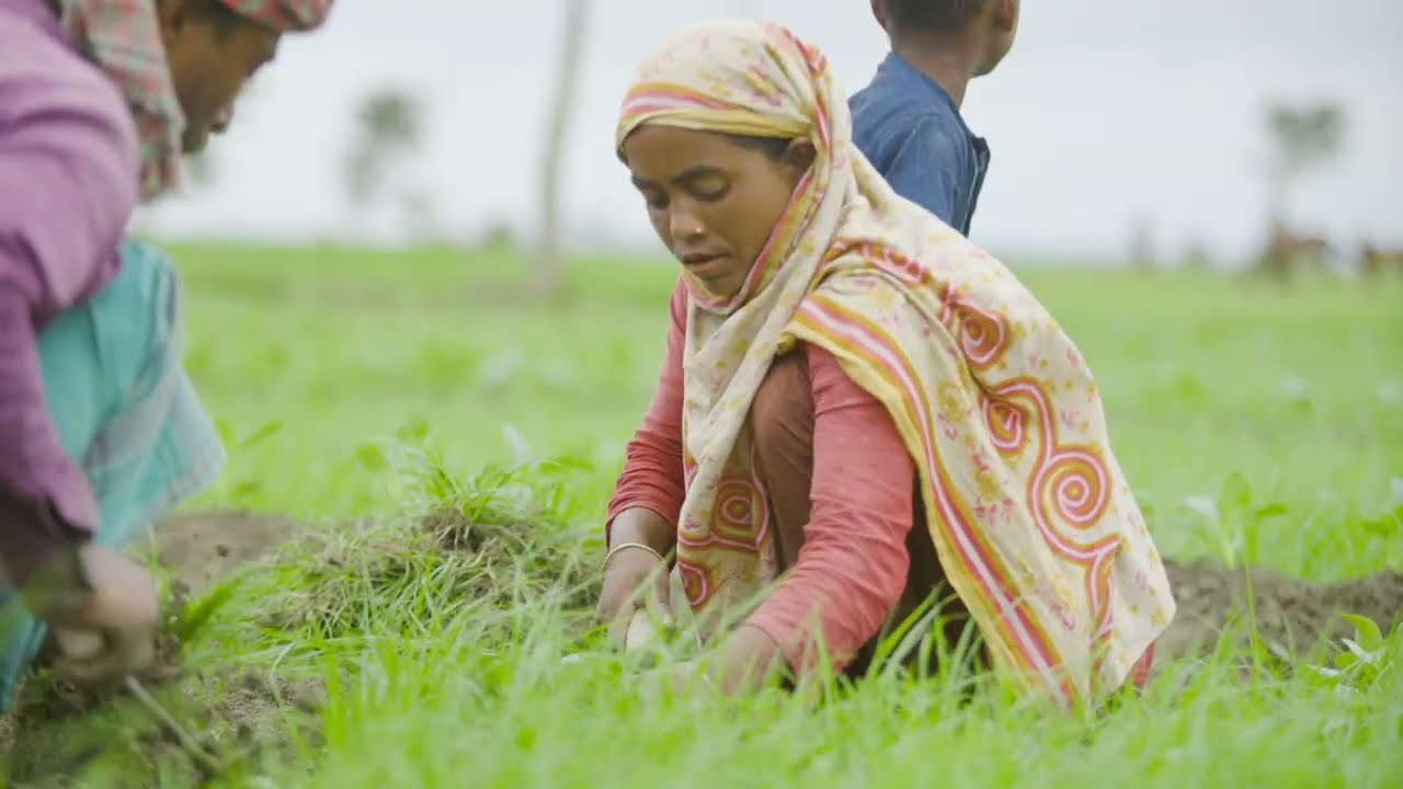 Financial inclusion - Making Markets work for the Chars