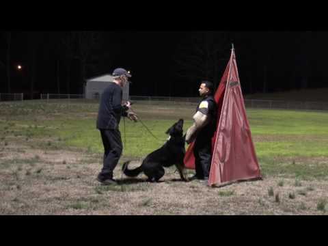 Fram z Medvedej doliny IPO3 Kkl Slovakia 5CX5/55