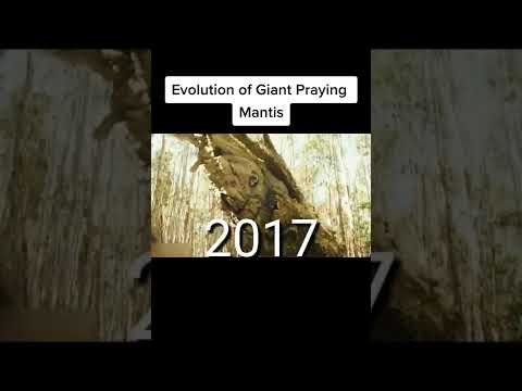 Giant Mantis Evolution #Giant #Mantis #evolution #godzilla