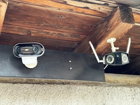 Vergleichsaufnahmen Reolink Argus 4 Pro vs Reolink Duo WiFi 2