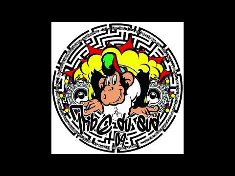A1 - Park In Sound - Tribe Du Sud 09