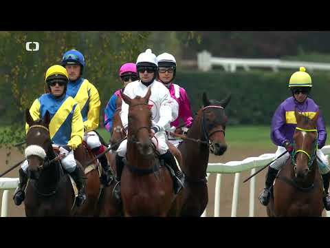 11. 10. 2025 - 5. dostih - Zlatá spona tříletých BICZ holding 2025