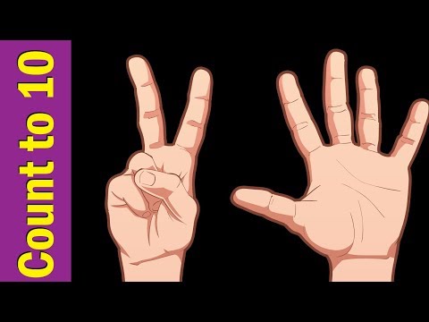 Count to 10 with Your Hands | Numbers | Counting Song for Kids | ESL for Kids | Fun Kids English