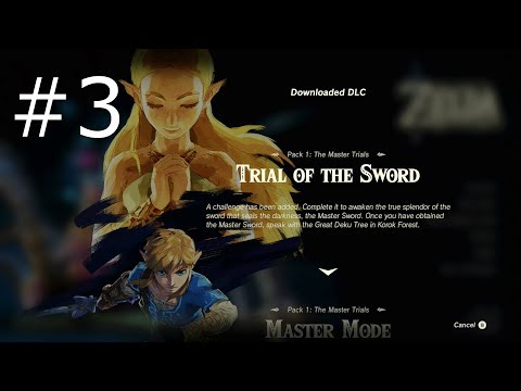 Trial of the Sword! Part 3 | Why Lynel?!
