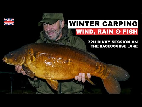 Winter carp session on The Racecourse Lake