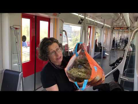 Miss Moonshine doing pull ups on the train - Amsterdam post organic farmers market