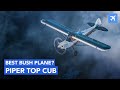 Piper PA 18 Top Cub Best STOL Bush Plane History Specs And In Depth Review