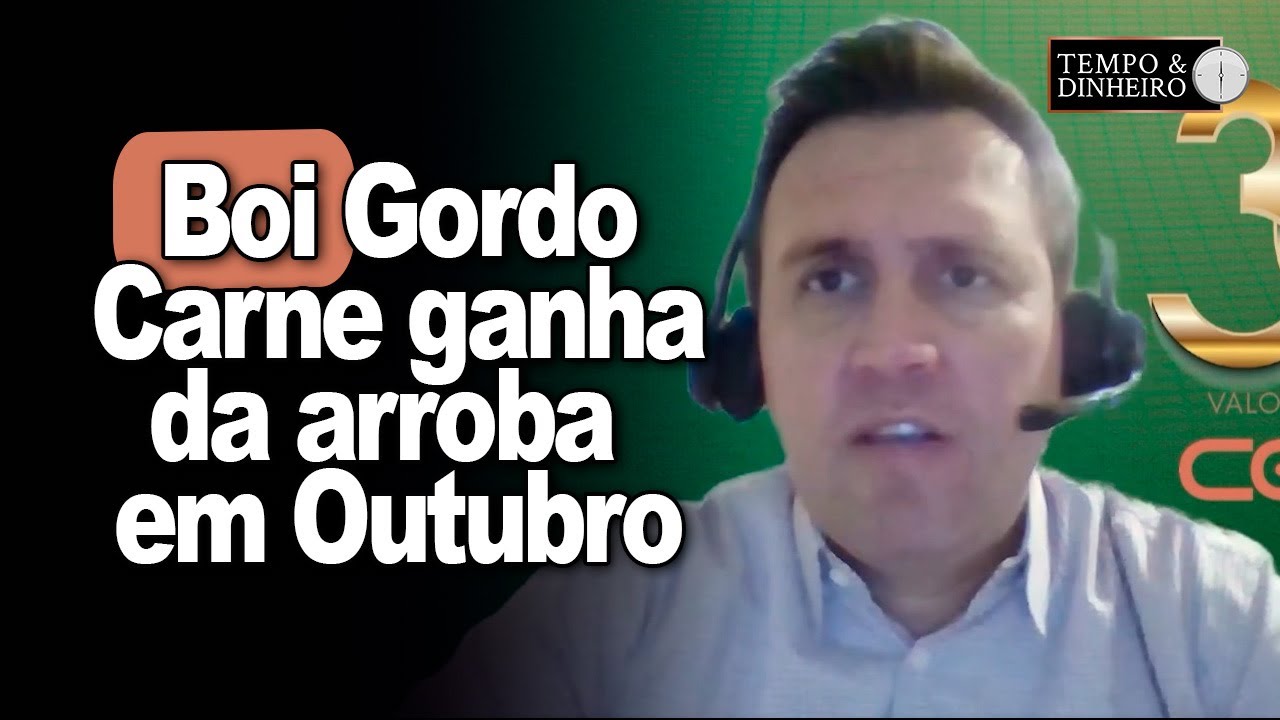Boi gordo segue firme e carne tem maior valorização em outubro do que a @, informa Thiago Bernardino