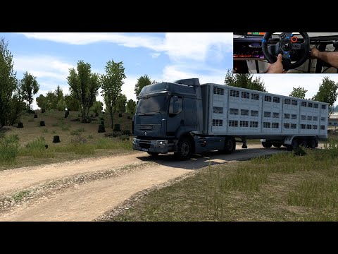 Live Cattle - Turkey to Bulgaria - Renault Premium - #POVStyle #ChestCam | ETS 2 | Logitech G29