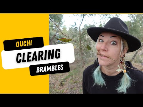 How we clear brambles on our off grid land - and why we leave some!