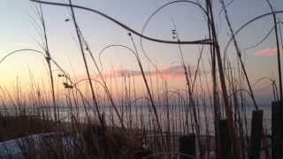preview picture of video 'Few Moments of Early March Evening on Dune of Willoughby Spit'