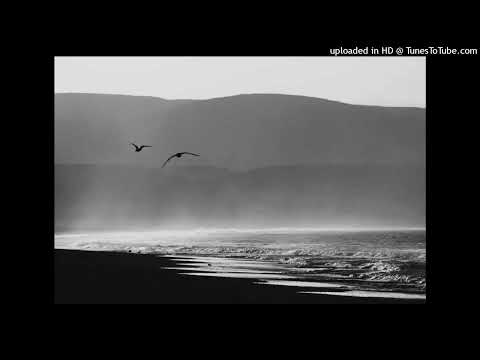 Mauricio  Cerda Beroiza-14