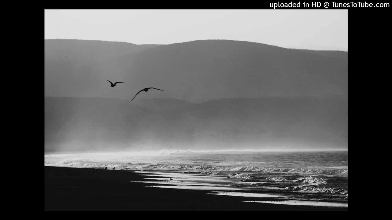 Mauricio  Cerda Beroiza-14