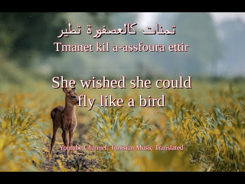 Saber Rebai - Sayd errim (Tunisian lyrics & English translation) | صابر الرباعي - صيد الريم