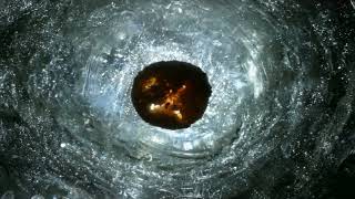 Womb by Eric Leiser 2007 4K