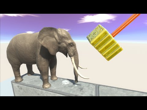 1v1 ARENA BATTLE + ELEPHANT vs GHOR HAMMER + SCIMITARILLA  ARBS KNYLREP