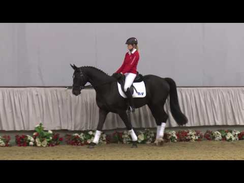 02 Simba Wallach v. San Amour I - Rotspon - Matcho AA