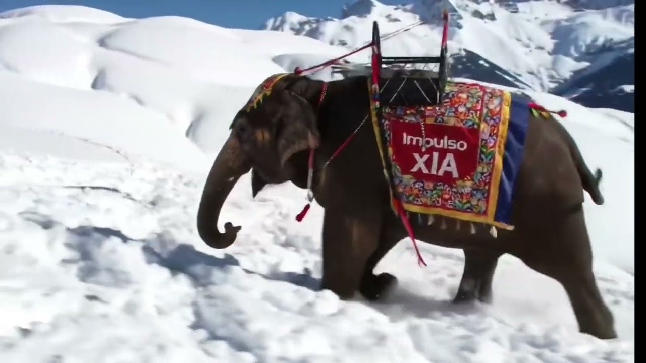 Miniatura del vídeo 'Impulso xIA: contenido creado con IA en segundos'