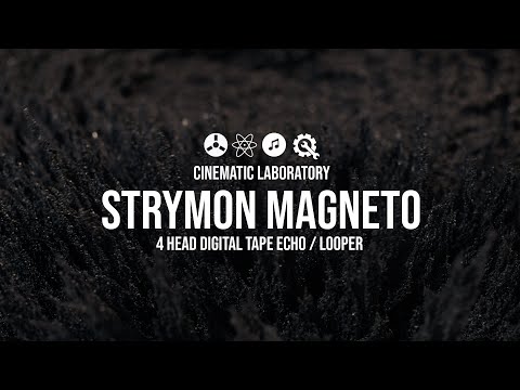 Strymon Magneto | Four head digital tape echo / looper