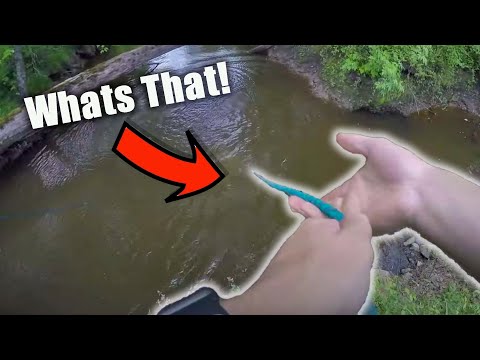 I Think We Found A Crime Scene While Magnet Fishing (Sketchy Finds)