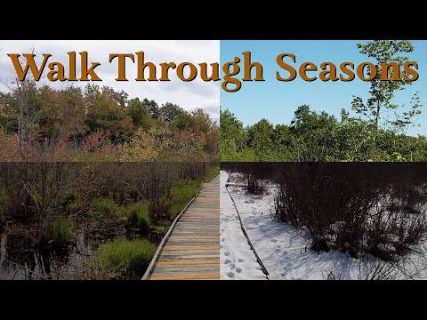 Walk Through the Seasons-{Partridge Island Trail, Lynnfield MA}