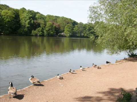 Newmillerdam & Thornes Park (Wakefield)