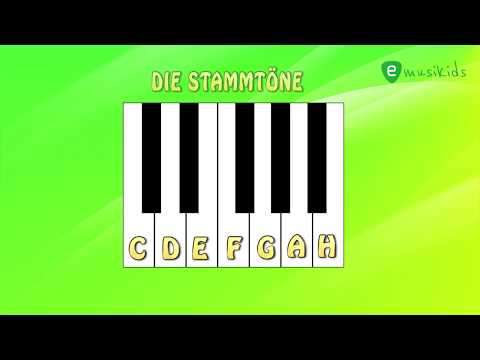 Noten lernen  - Einfach für Anfänger - Die Stammtöne: emusika-academy.com