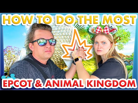 How to Do The MOST in EPCOT and Disney's Animal Kingdom in ONE DAY - 35 Attractions!