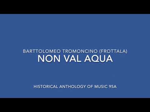 Non val aqua Tromboncino Frottola HAM 95a