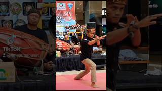Download lagu pencak silat Gadjah putih mega paksi pusaka garut #viral #pencaksilat #limaputrapusat #shorts mp3
