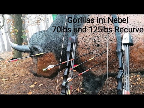 Gorillas im Nebel! Training mit Mike. 125 lbs + 70 lbs Falkenholz Thomas Brugger archery extreme