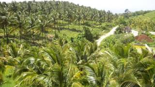 Mighty Diamonds - Country Life