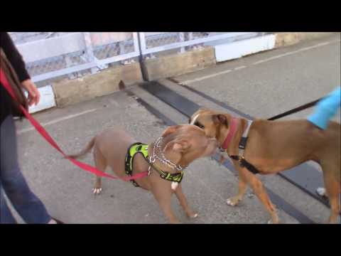 SHOCKING VANDALISM Downtown Cincinnati Ohio & SKYLINE VIEWS