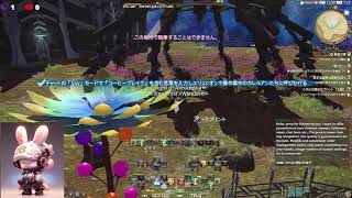 FinalFantasy14 レベル上げします