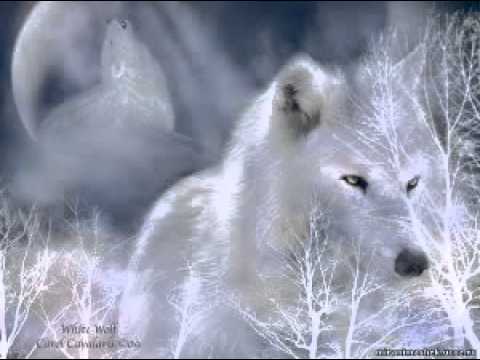 Game Over - Вълк единак