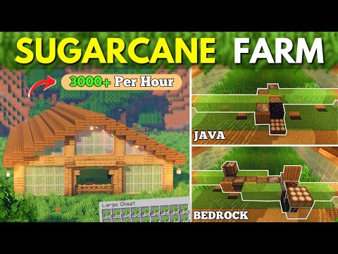 Minecraft EASIEST Automatic Sugar Cane Farm 1.21+ / Bedrock and Java