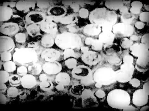 AnD - Horizontal Ground 9 - A1