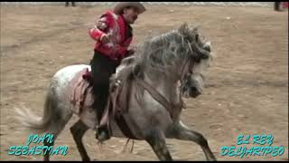 JOAN SEBASTIAN - LA CARTA - EL VIEJO JOVEN - EL SIETE VIDAS -  EN VIVO EN PLAZA SANTA MARIA