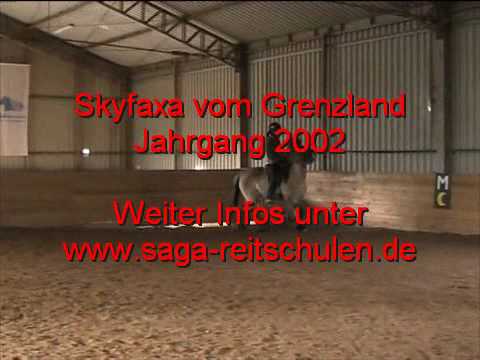 Skyfaxa vom Grenzland