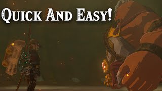 QUICK and EASY Fire Temple Guide | Tears of The Kingdom