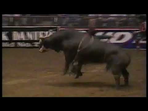 Werewolf bucks Bubba Dunn - 97 PBR Ft. Worth