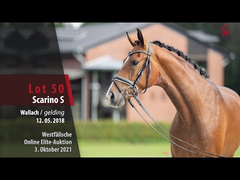 Online Elite-Auktion Lot 50 Scarino S Wallach v. Sir Heinrich -  Fürst Grandios