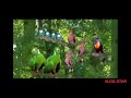 In The Night Garden Hello Tittifers Song Pitched Up
