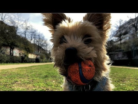 Lüül - Gut Zu Wissen (Official Video)