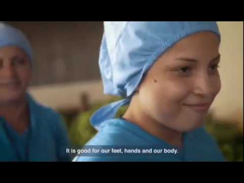 download lagu mp3 mp4 Barnana Organic Plantain Chips, download lagu Barnana Organic Plantain Chips gratis, unduh video klip Barnana Organic Plantain Chips