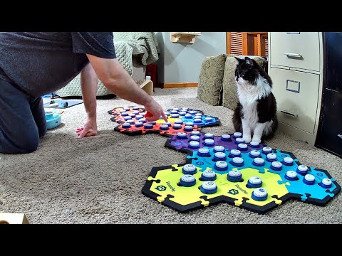 Todd Finally Gets A New Word, And It's A Good One!