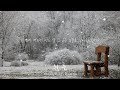 Monday Kiz - White Snow (Lyric Video)